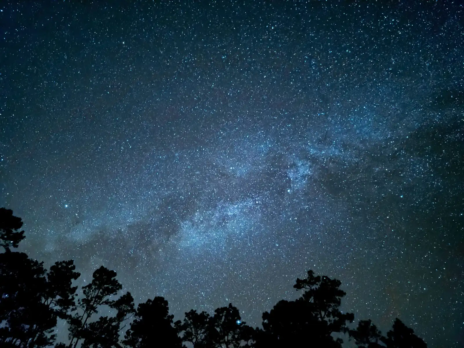 The Milky Way across a clear night sky above the silhouettes of trees