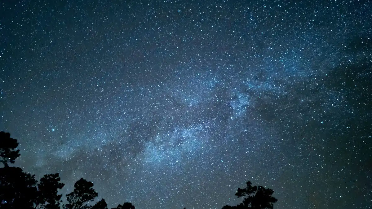The Milky Way across a clear night sky above the silhouettes of trees